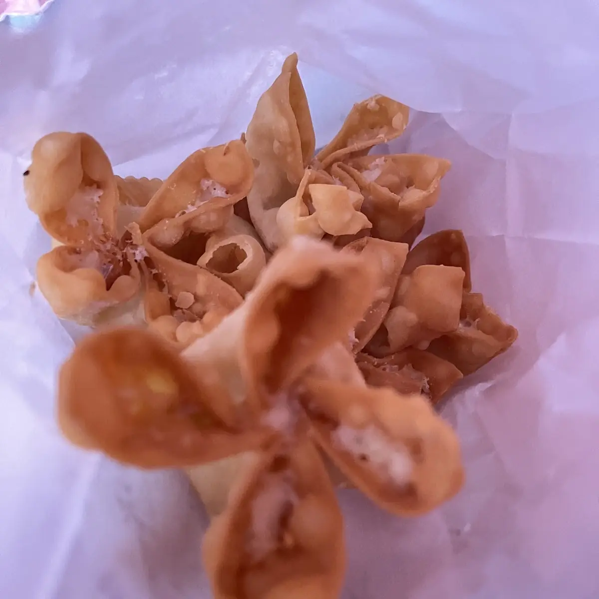 fried wonton 12 炸云吞